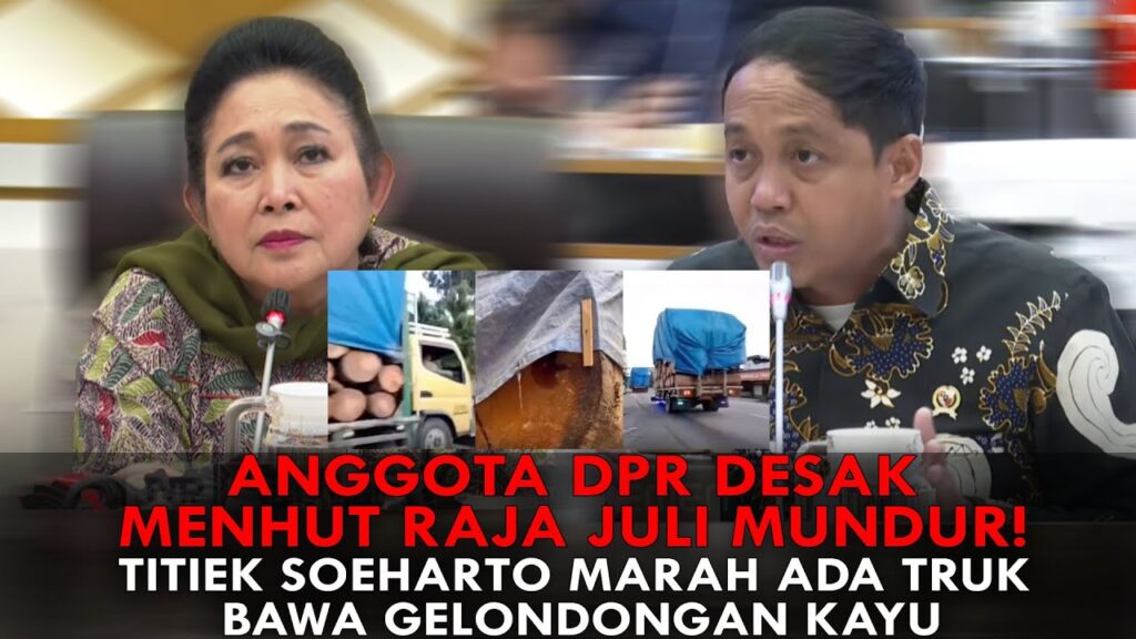 Youtube Thumnail image of : ANGGOTA DPR DESAK MENHUT RAJA JULI MUNDUR! TITIEK SOEHARTO MARAH ADA TRUK BAWA GELONDONGAN KAYU